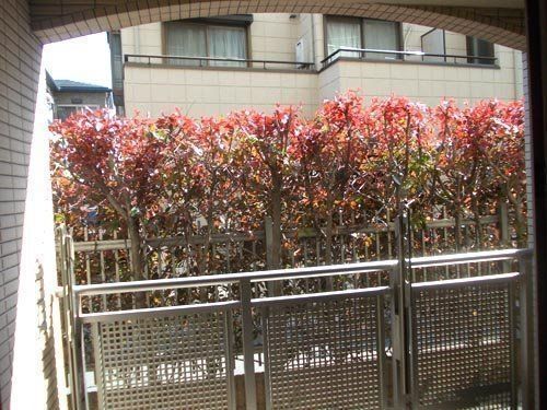 (分譲賃貸 駅徒歩1分)ジェイパーク世田谷